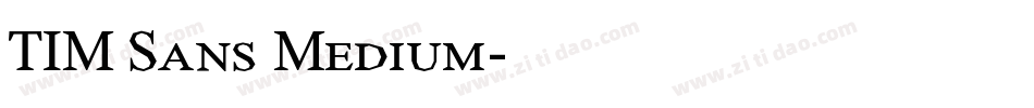 TIM Sans Medium字体转换